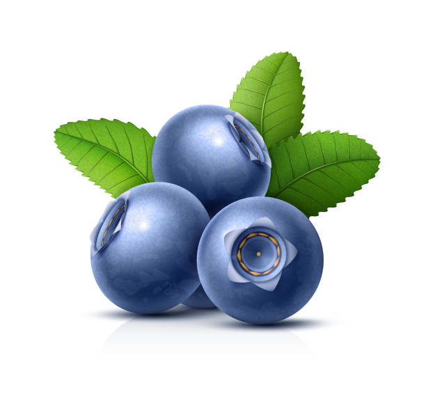 Huckleberry Logo
